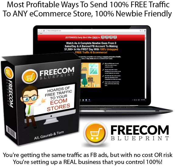 Freecom Blueprint READY TO DOWNLOAD COMPLETE No Cost Traffic Course