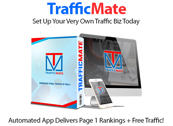 Traffic Mate Software Instant Download Pro License By Radu Hahaianu